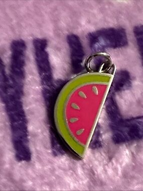Coach Pink and Lime Watermelon Charm with unbranded Stainless Steel chain